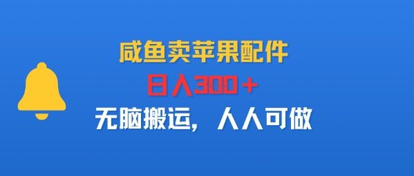 咸鱼卖苹果配件，日入3张+，无脑搬运，人人可做-网创副业教程