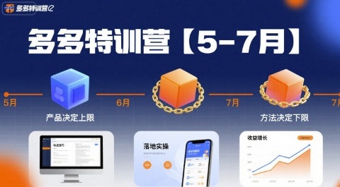 多多特训营【5-7月】产品决定上限，方法决定下限，各种玩法技巧落地实操-网创副业教程