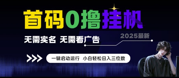 首码0撸挂G项目，无需实名无需看广告 一键启动运行，小白轻松日入三位数【揭秘】-网创副业教程