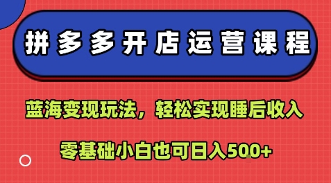 拼多多开店运营课程：蓝海变现玩法，轻松实现睡后收入，零基础小白也可日入5张-网创副业教程