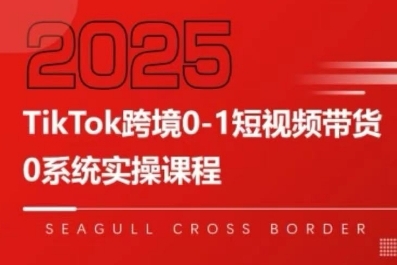 TikTok跨境0-1短视频带货，系统拆解TikTok跨境带货全链路，实现跨境可持续盈利-网创副业教程