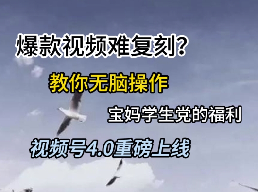 视频号4.0重磅上线，爆款视频难复刻？教你无脑操作宝妈学生党的福利【揭秘】-网创副业教程