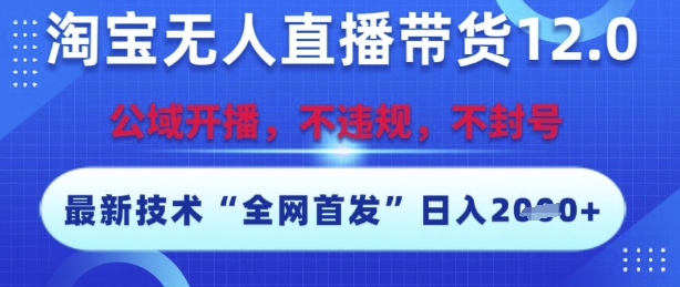 淘宝无人直播带货12.0，最新技术，不封号，不违规，操作简单，开播爆单，日入多张【揭秘】-网创副业教程