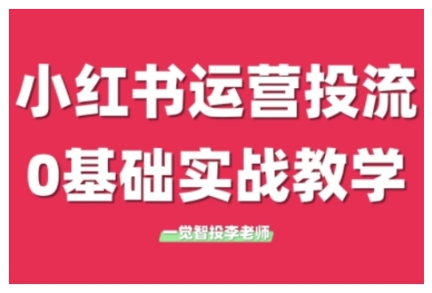 小红书运营投流，小红书广告投放从0到1的实战课，学完即可开始投放（更新）-网创副业教程