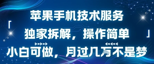 苹果手机技术服务，独家拆解，操作简单，小白可做，月过1W不是梦-网创副业教程