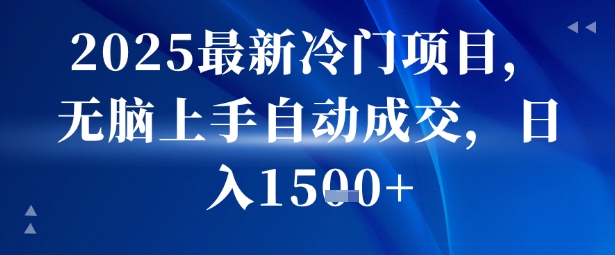 2025最新冷门项目，无脑上手自动成交，日入多张-网创副业教程