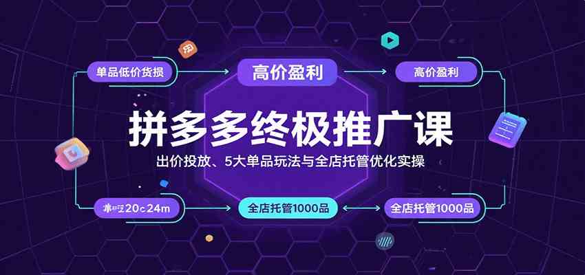 拼多多终极推广课：出价投放、5大单品玩法与全店托管优化实操-网创副业教程