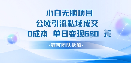 小白无脑项目公域引流私域成交0成本单日变现680米-网创副业教程