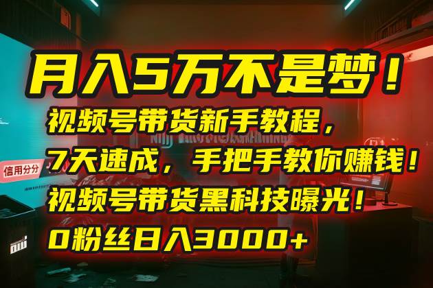 （15595期）月入5万不是梦！视频号带货新手教程，7天速成，手把手教你赚钱！视频号…-网创副业教程