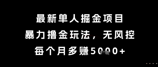最新单人掘金项目，暴力撸金玩法，无风控，每个月多挣5k+【揭秘】-网创副业教程