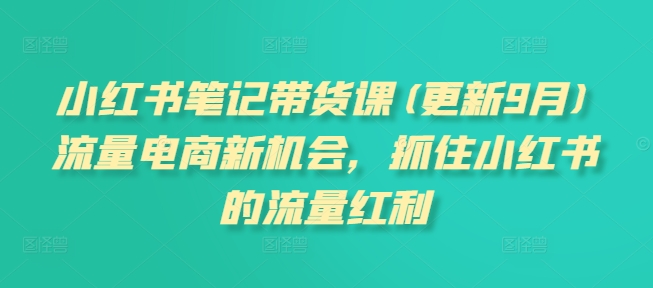 小红书笔记带货课(更新25年6月)流量电商新机会，抓住小红书的流量红利-网创副业教程