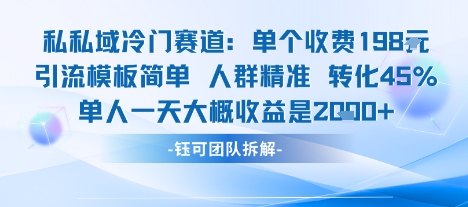 私域冷门赛道单个收费198米引流模板简单人群精准 45%的转化率单人一天大概收益多张-网创副业教程