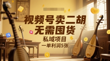视频号卖二胡，无需囤货，私域项目，一单利润5张-网创副业教程