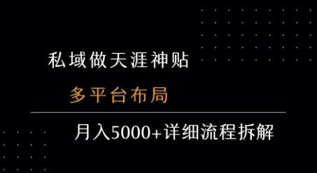 私域做天涯神贴 多平台布局 月入5k+详细流程拆解-网创副业教程