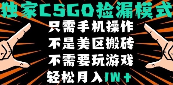 CSGO自动捡漏项目，最新独家玩法，不是美区搬砖，不需要了解和玩游戏，新手小白轻松月入1W+【揭秘】-网创副业教程