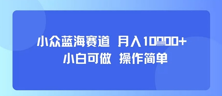 小众蓝海赛道，小白可做，操作简单，每天30分钟，月入1W+-网创副业教程