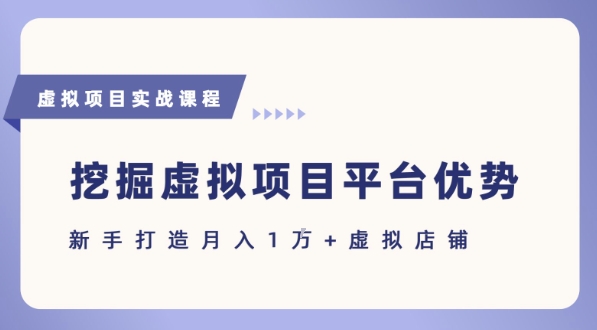 抓住虚拟项目各平台优势，新手轻松月入1W+(给出具体建议)-网创副业教程