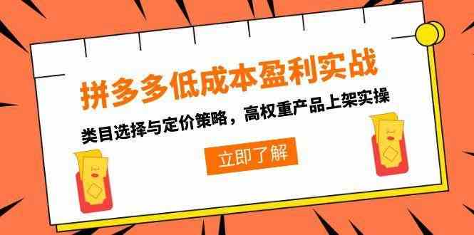 拼多多低成本盈利实战，类目选择与定价策略，高权重产品上架实操-网创副业教程