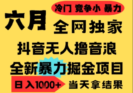 25年6月高爆抖音无人直播最新撸音浪掘金项目，小白可做，无脑日入1k+，门槛低可批量矩阵【揭秘】-网创副业教程