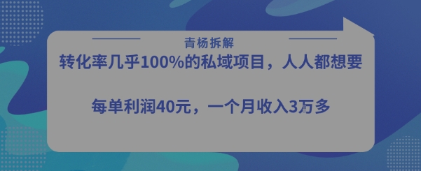 转化率最高的私域项目，每单利润40-50米，月入过1w-网创副业教程