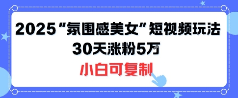 不露脸也能火！2025“氛围感美女”短视频玩法，30天涨粉5W小白可复制-网创副业教程