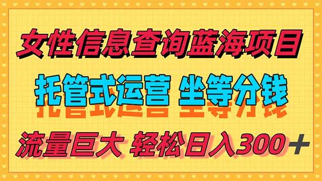 （15216期）稳定日入300＋，小众信息查询蓝海项目，全程懒人式托管，解放你的时间-网创副业教程