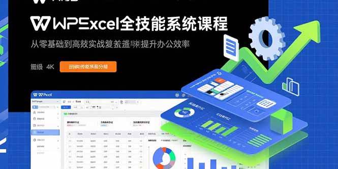 图片[1]-（15873期）WPS Excel全技能系统课程：从零基础到高阶实战全覆盖，全面提升办公效率-网创副业教程