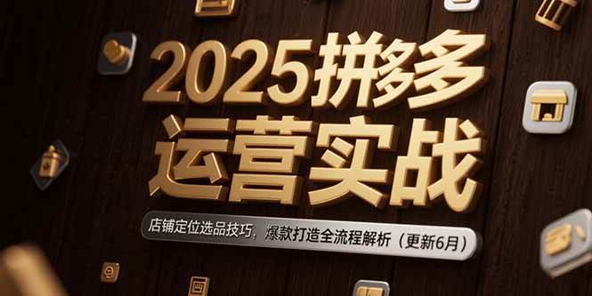 图片[1]-（15235期）2025拼多多运营实战：店铺定位选品技巧，爆款打造全流程解析（更新6月）-网创副业教程