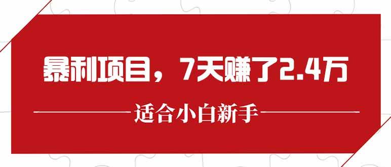 图片[1]-（15228期）最新暴利项目，每单收益轻松在300以上，7天赚了2.4万-网创副业教程