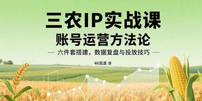 图片[1]-（15864期）三农IP实战课：账号运营方法论，六件套搭建，数据复盘与投放技巧-网创副业教程