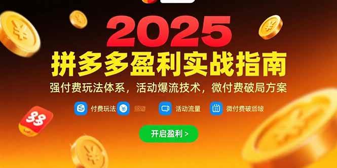 图片[1]-（15357期）拼多多盈利实战指南，强付费玩法，活动爆流技术，微付费破局方案(更新7月)-网创副业教程