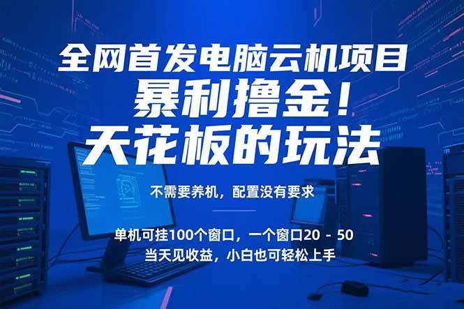 图片[1]-（15323期）电脑云机项目 暴力撸金玩法，不需要养机 配置没有要求 单机100个窗口一…-网创副业教程
