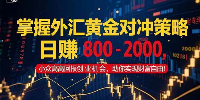 图片[1]-（15198期）掌握外汇黄金对冲策略，日赚 800 – 2000，小众高回报创业机会，助你实…-网创副业教程