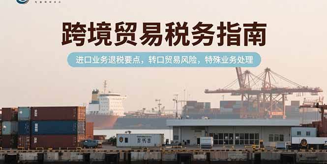 图片[1]-（15381期）跨境贸易税务指南，进口业务退税要点，转口贸易风险，特殊业务处理-网创副业教程