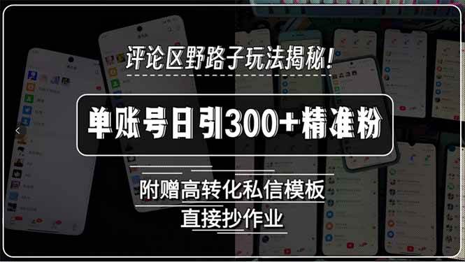 图片[1]-（15466期）评论区野路子玩法揭秘！单账号日引300+精准粉，附赠高转化私信模板，直…-网创副业教程
