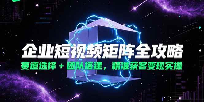 图片[1]-（15242期）企业短视频矩阵全攻略，赛道选择+团队搭建，精准获客变现实操-网创副业教程